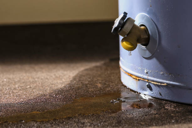 Kaumakani, HI Water damage restoration Company