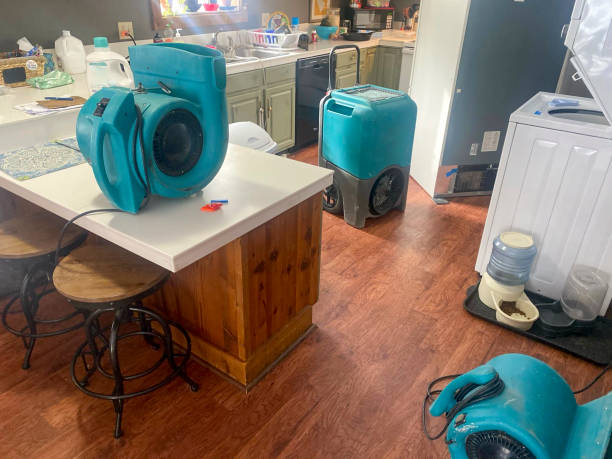 Best Flood damage cleanup  in Kaumakani, HI