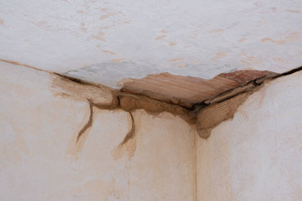 Best Fire Damage Restoration  in Kaumakani, HI