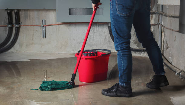 Best Water damage restoration experts  in Kaumakani, HI