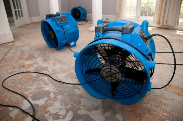 Best Water damage restoration near me  in Kaumakani, HI