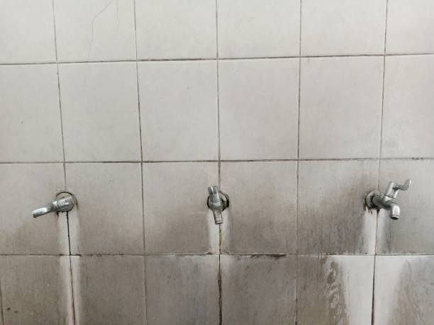 Best 24-hour water damage restoration  in Kaumakani, HI